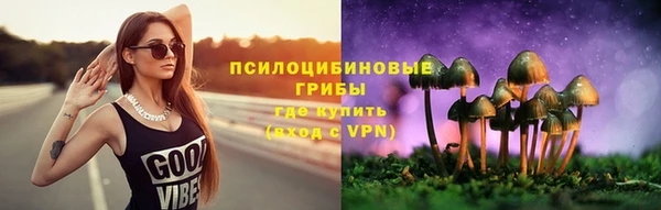 прущие грибы Ростов