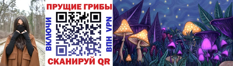 Галлюциногенные грибы мицелий  Отрадный 