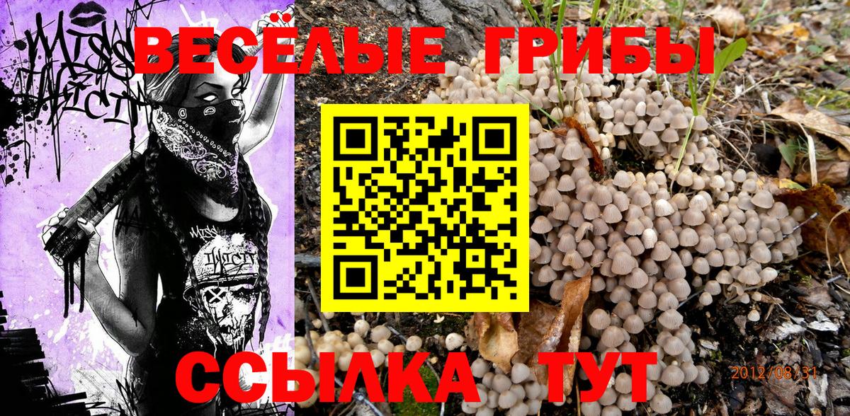Галлюциногенные грибы MAGIC MUSHROOMS  Вход с VPN  Отрадный 